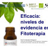 Eficacia: niveles de evidencia, Salvador Cañigueral Folcarà. Bilbao 30/11/2018