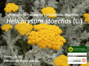 Les-helichrysum-oviedo