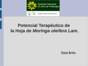 DARA-BRITO-thumbnail